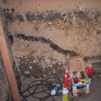 Mold sample 1 - Click to enlarge